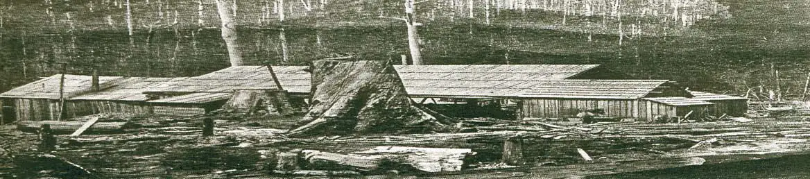 Hudson's Lisle Sawmill c1920
